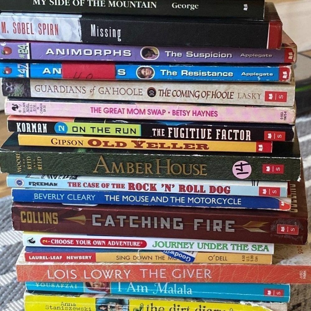 Young adult books / classroom books